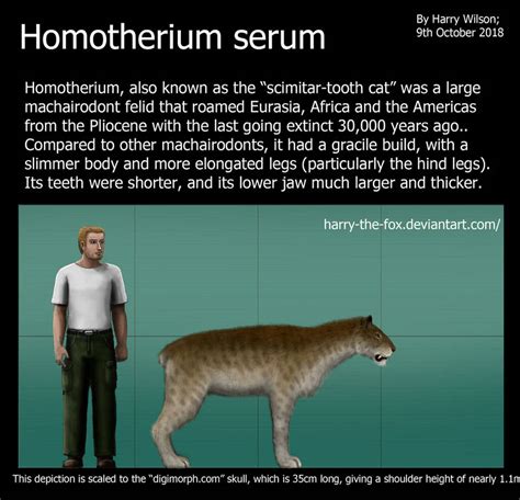 Homotherium serum size by Harry-the-Fox on DeviantArt