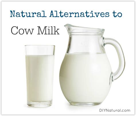 Natural Milk Substitute and Milk Alternatives