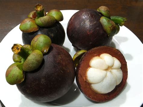 Mangosteen Tree and Fruit