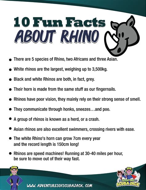 Rhino fun facts for kids – Artofit