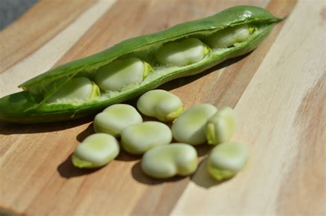 What Are Fava Beans and What Do They Taste Like? | MyRecipes