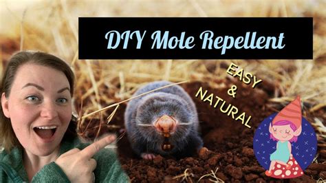 Recipe For Castor Oil Mole Repellent | Deporecipe.co