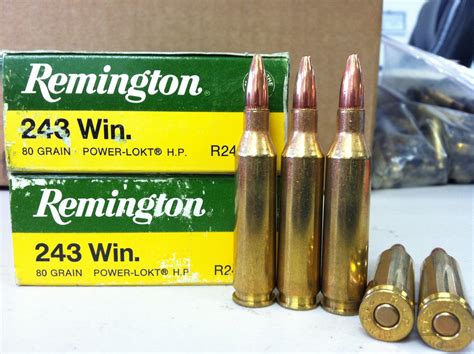 243 Winchester Rifle Ammo: Factory ... for sale at Gunsamerica.com ...