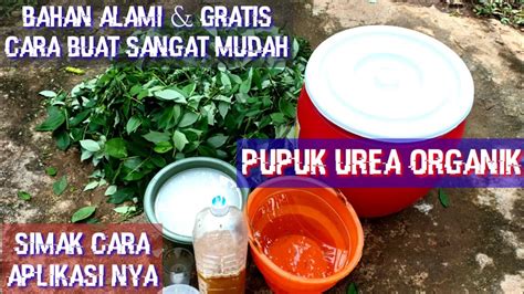 Cara Membuat Pupuk Urea Organik | Pupuk Cair Alami Penyubur Tanaman ...