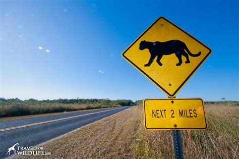 20 Animal Crossing Signs - A Photo Gallery byTravel For Wildlife