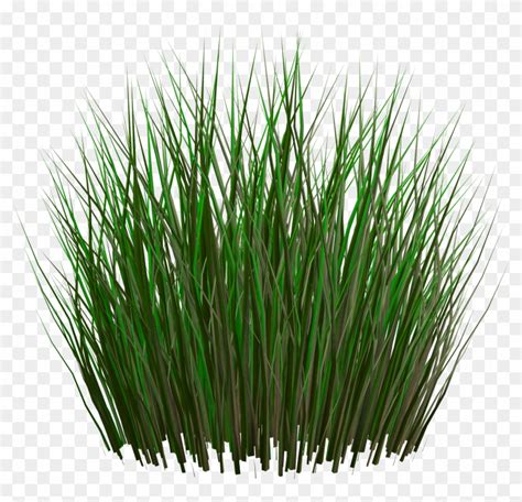 Unity 2d Grass Texture | Images and Photos finder