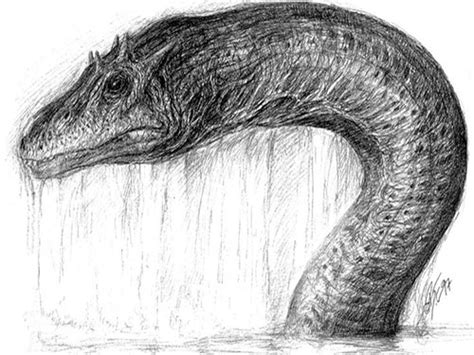 Beautiful drawing of " Ogopogo" from around 1997, author unknown, found ...