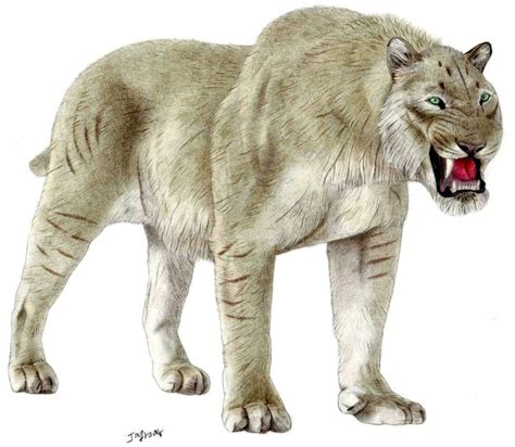 Giant Scimitar-toothed cat by Jagroar on DeviantArt