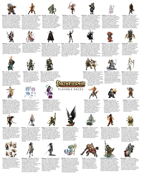 Pathfinder playable races | Pathfinder races, Dungeons and dragons art ...