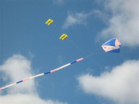 Types Of Kites - 8 Popular Single Liners