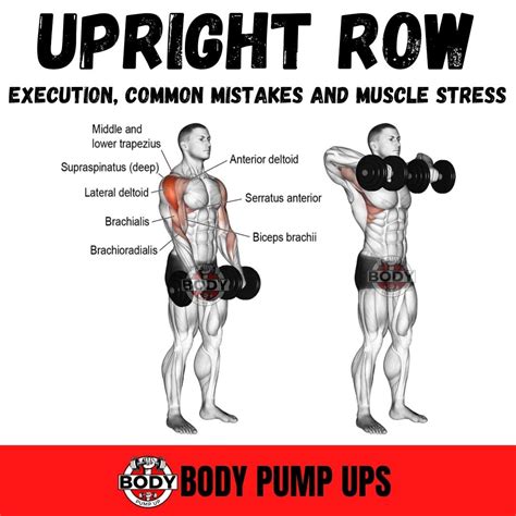 Dumbbell Upright Row in 2023 | Dumbbell upright row, Tuesday workout ...