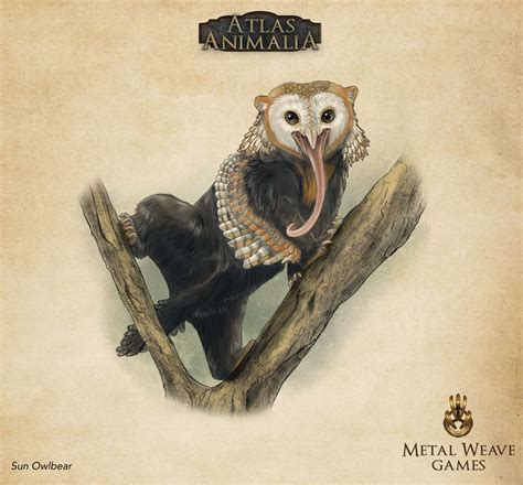 ArtStation - Atlas Animalia: Owlbear Variants, Sarah Dahlinger ...