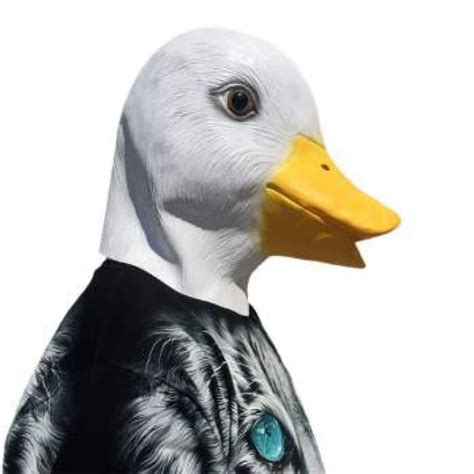 Duck Goose Mask Costume | Costume Mascot World