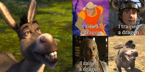 Shrek: 9 Memes That Perfectly Sum Up Donkey As a Character