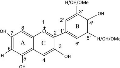 General structure of anthocyanidin aglycones. | Download Scientific Diagram