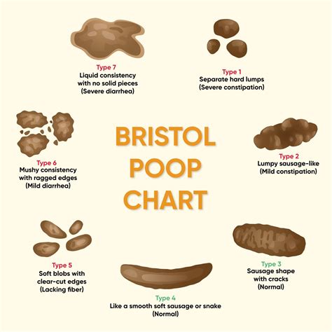 Types of Poop and What They Say About Your Health