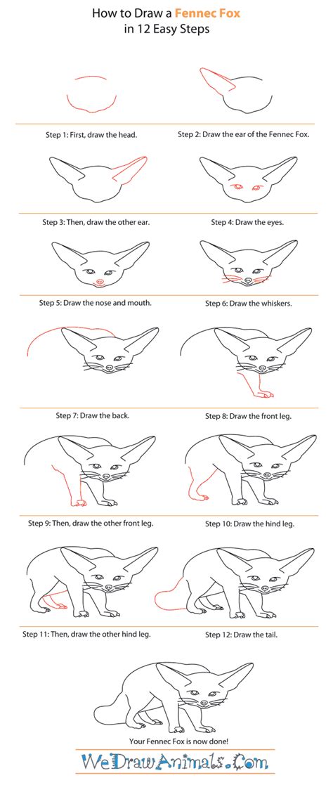 How to Draw a Fennec Fox