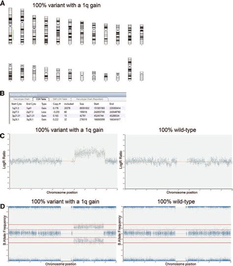 SNP array analysis of a pure population of variant hPSCs harboring a ...