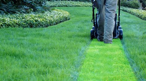 The Lawn Mowing Services Sydney - Sydney GM