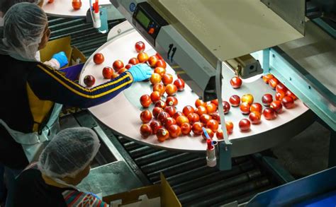 Prima Wawona announces major stone fruit expansion - Fruit Growers News