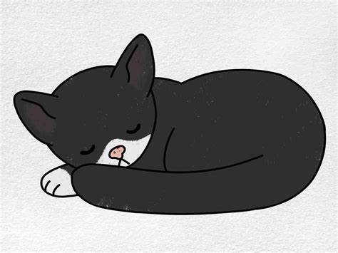 Sleeping Cat Drawing - HelloArtsy