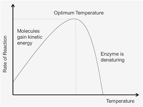 [Solved] Question 7. Recall Exercise 3: "Diffusion and Osmosis", where ...