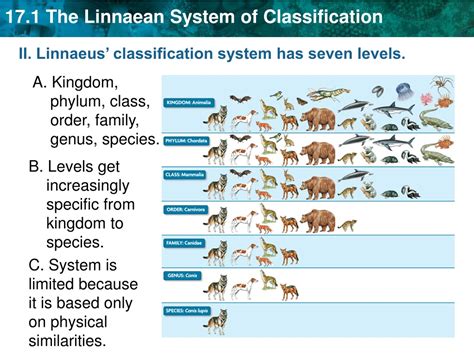 Kingdoms In Linnaeus System Of Classification