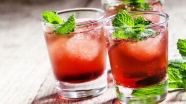 13 Best Bacardi Cocktails to Try