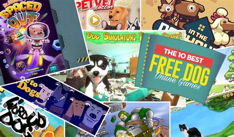 10 Most Addictive Free Dog Games Online — Top Dog Tips