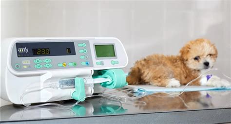 List of Veterinary Equipment and Tools Essential For Your Vet Clinic ...