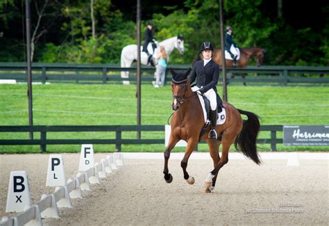 Get Familiar with the FEI Eventing Dressage Tests Changing/Updating in ...