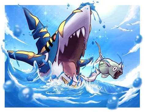 Mega Sharpedo Wallpapers - Wallpaper Cave