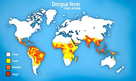 Dengue fever | healthdirect