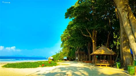 7 Best Beaches in Andaman That Will Steal Your Heart