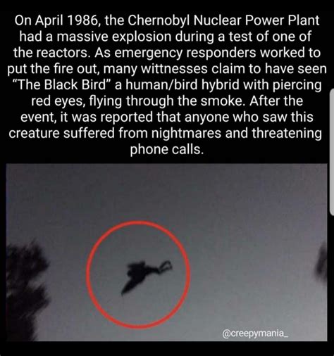 Mothman visits Chernobyl ? : r/cryptids