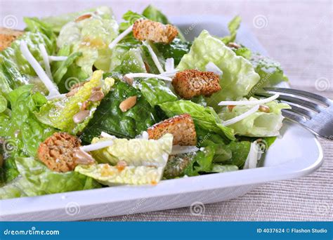 Caesar salad stock photo. Image of croutons, sunflower - 4037624