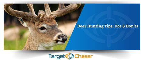 Deer Hunting Tips: Do's & Don'ts - Target Chaser