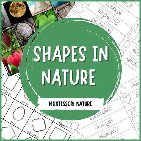 2D Shapes in Nature Printable - Nature Curriculum in Cards - Montessori