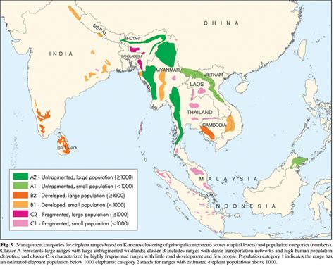 The Asian Elephant Saga