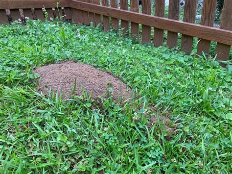 a pile of dirt sitting in the middle of some grass next to a wooden fence