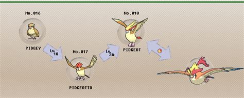 Pokémon of the Week - Pidgeot