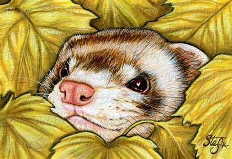 Wildlife Paintings, Nature Paintings, Animal Paintings, Hufflepuff ...