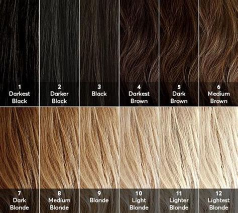 79 Ideas What Does Level 5 Hair Color Look Like For Short Hair ...