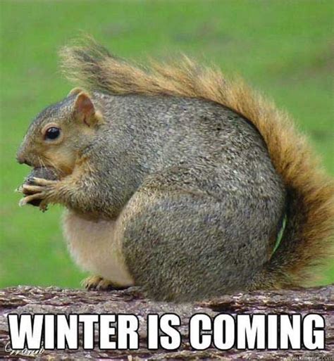 55 Funny Winter Memes That Are Relatable If You Live in the North