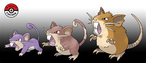 In-Progress Pokemon Evolutions | #019.5 - Rattata are a very hardy ...