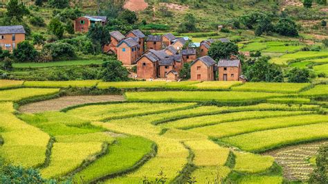 Rice terraces and Merina villages along National Route 7 south of ...