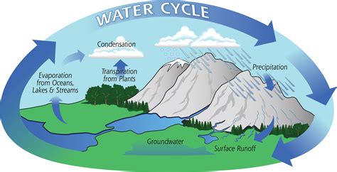 WATER CYCLE – Travelling across time / Viajando a través del tiempo