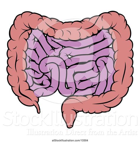 Vector Illustration of Cartoon Human Digestive System Showing the ...