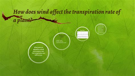 How does wind effect the transpiration rate of a plant? by Heather ...