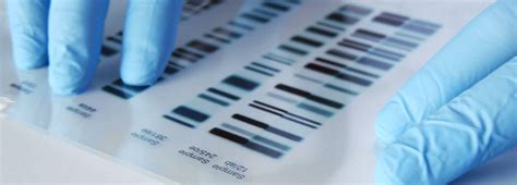 DNA Testing Buffalo NY | DNA Testing Syracuse | DNA Testing Rochester